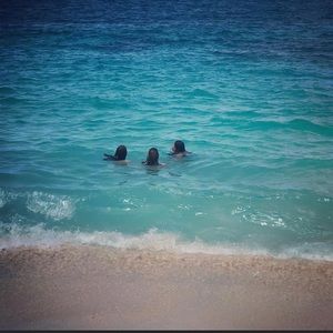 Meet your Posher, Isabella